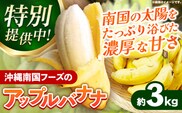 【特別提供中】国産 希少種！南国フーズのアップルバナナ 約3kg - バナナ ばなな 小ぶり 沖縄県 産地直送 果物 フルーツ 南国 朝食 おすすめ 沖縄県 八重瀬町【価格改定】