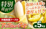 【特別提供中】国産 希少種！南国フーズのアップルバナナ 約5kg - バナナ ばなな 小ぶり 沖縄県 産地直送 果物 フルーツ 南国 朝食 おすすめ 沖縄県 八重瀬町【価格改定】