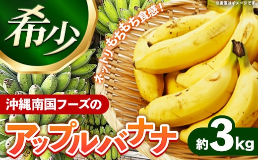 国産 希少種！南国フーズのアップルバナナ 約3kg - バナナ ばなな 小ぶり 沖縄県 産地直送 果物 フルーツ 南国 朝食 おすすめ 沖縄県 八重瀬町