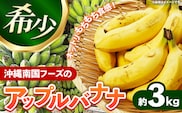 国産 希少種！南国フーズのアップルバナナ 約3kg - バナナ ばなな 小ぶり 沖縄県 産地直送 果物 フルーツ 南国 朝食 おすすめ 沖縄県 八重瀬町