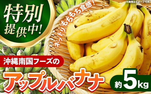 【特別提供中】国産 希少種！南国フーズのアップルバナナ 約5kg - バナナ ばなな 小ぶり 沖縄県 産地直送 果物 フルーツ 南国 朝食 おすすめ 沖縄県 八重瀬町【価格改定】