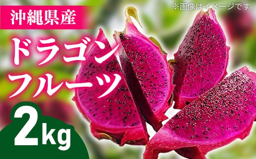 【2026年発送】熱帯果樹生産組合の完熟ドラゴンフルーツ 【レッドドラゴンフルーツ】 約2kg（3～7玉）- 赤 果肉 レッド ピタヤ スーパーフルーツ 先行受付 先行予約 人気 抗酸化作用 ベタシアニン おすすめ 国産 沖縄県 八重瀬町