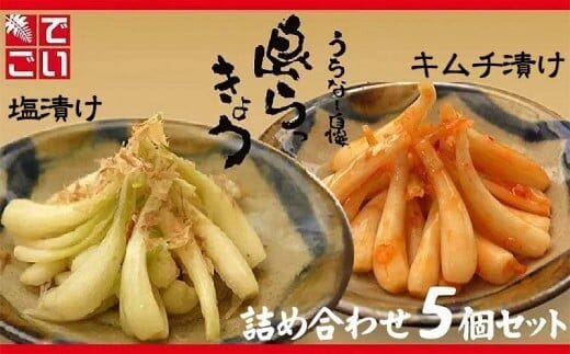 島らっきょう塩漬け・キムチ漬け 詰め合わせ５個セット - らっきょう漬け 国産 沖縄県産 らっきょ 島らっきょ 疲労回復 滋養強壮 人気 漬物 沖縄県 八重瀬町