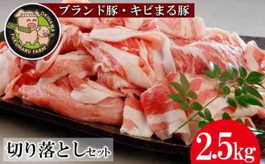 【ブランド豚・キビまる豚】切り落とし 約2.5kg - 豚肉 小分け 500gずつ 部位混合 色々楽しめる 人気 しょうが焼き 肉じゃが 豚丼 豚キムチ 肉巻き アレンジ 色々 人気 ブランド豚 おすすめ 沖縄県 八重瀬町【価格改定】