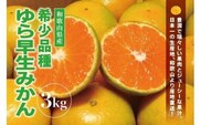 【先行予約】＼数量限定／ 希少品種 ゆら早生みかん 約3kg【2022年10月上旬頃より順次発送】