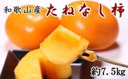 【秋の味覚】和歌山産のたねなし柿約7.5kg(L～4Lサイズおまかせ)※2022年9月下旬から順次発送