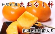 【秋の味覚】和歌山産のたねなし柿2L～4Lサイズ約2kg（化粧箱入り）※9月下旬から順次発送