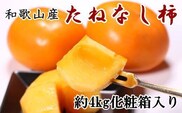 【秋の味覚】和歌山産のたねなし柿2L～4Lサイズ約4kg（化粧箱入り）※9月下旬から順次発送