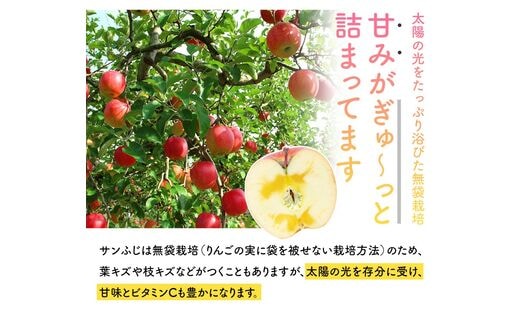 JAいわて中央の美味しいりんご サンふじ10kg | dショッピングふるさと