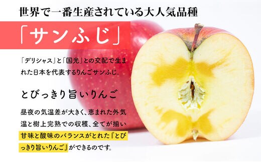 JAいわて中央の美味しいりんご サンふじ10kg | dショッピングふるさと