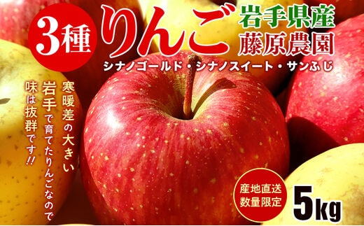 memi0815❣️様　リクエスト サンふじ&シナノゴールド ミックス5㌔ memi0815❣️リクエスト5キロ美品 サンふじ＆シナノゴールド