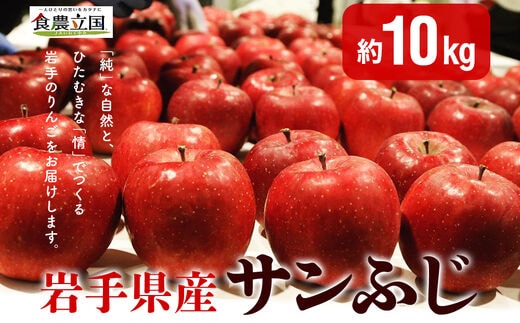 JAいわて中央の美味しいりんご サンふじ10kg | dショッピングふるさと