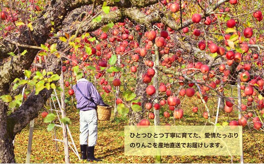 藤原農園のりんご3種の詰め合わせ『シナノスイート・シナノゴールド